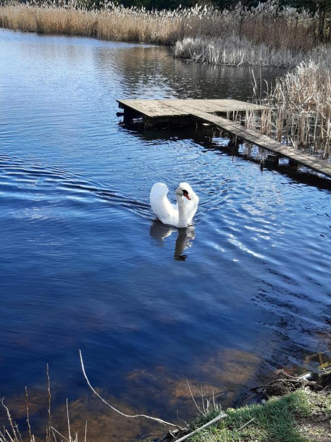 Domek Caloroczny Magjan Z Sauna Złotów 外观 照片